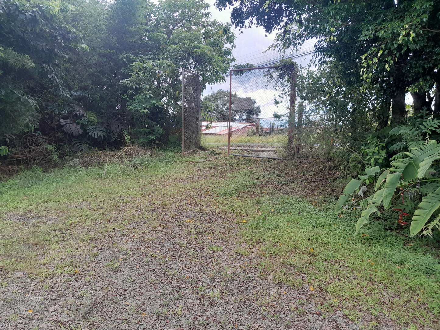 3-12-5 Lote Calle Estadio Sarchí - 300 m2