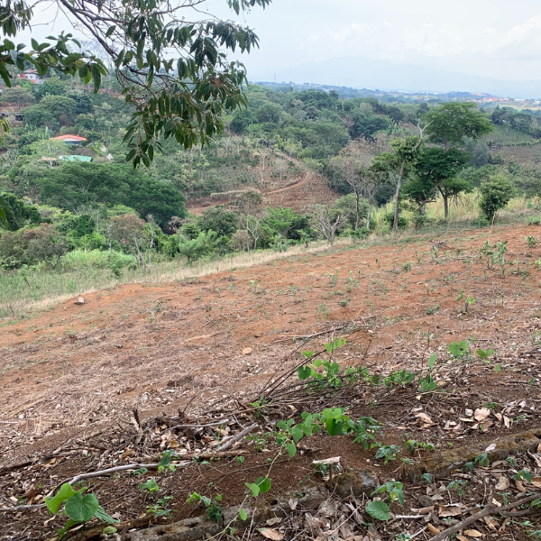 1-68-5 Finca en Rincón de Alpizar Sarchí - 26000 m2