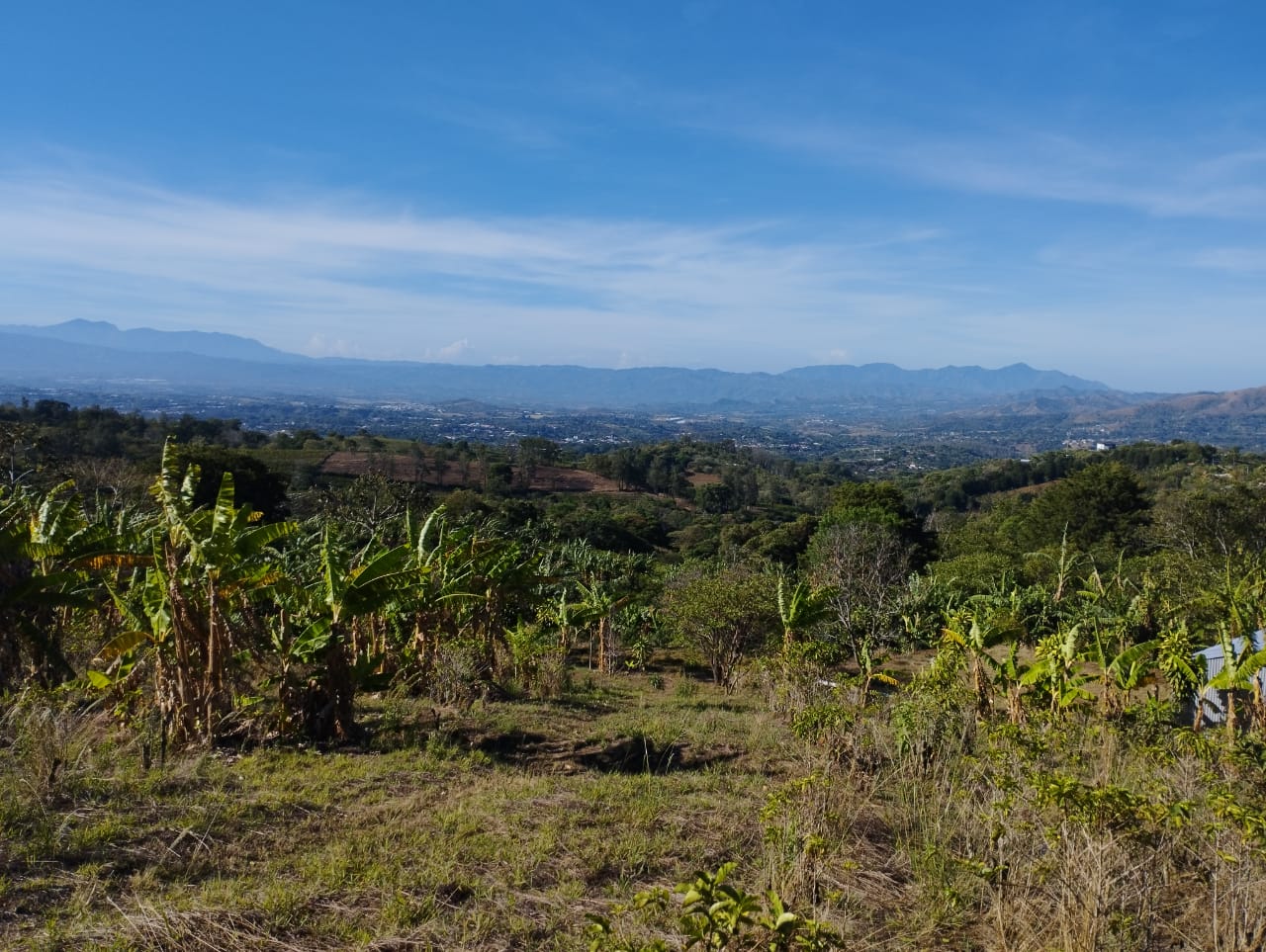 1-39-5 Lote en Sabanilla