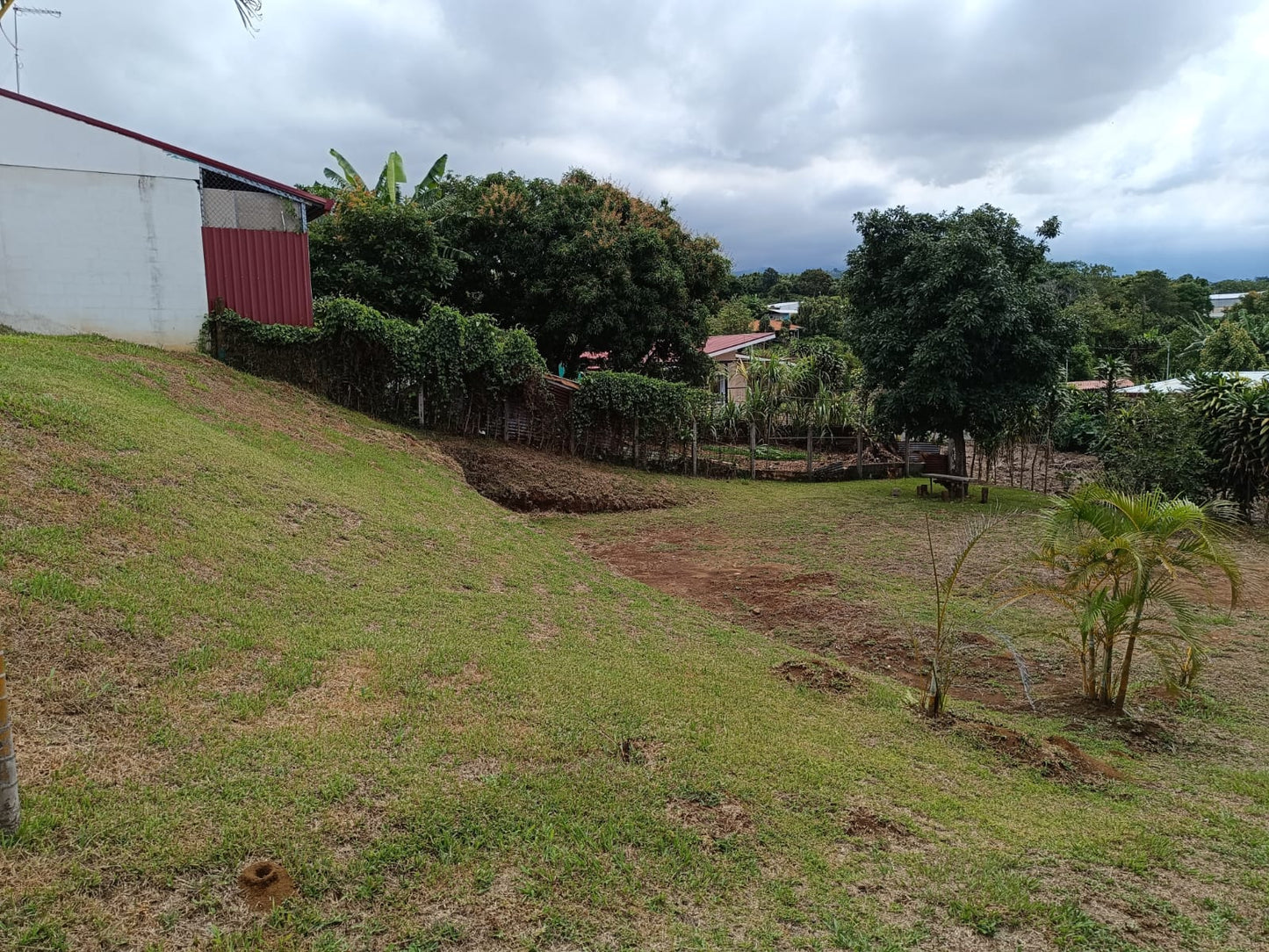 1-43-5 Lote San Pedro Sarchí - 600 m2