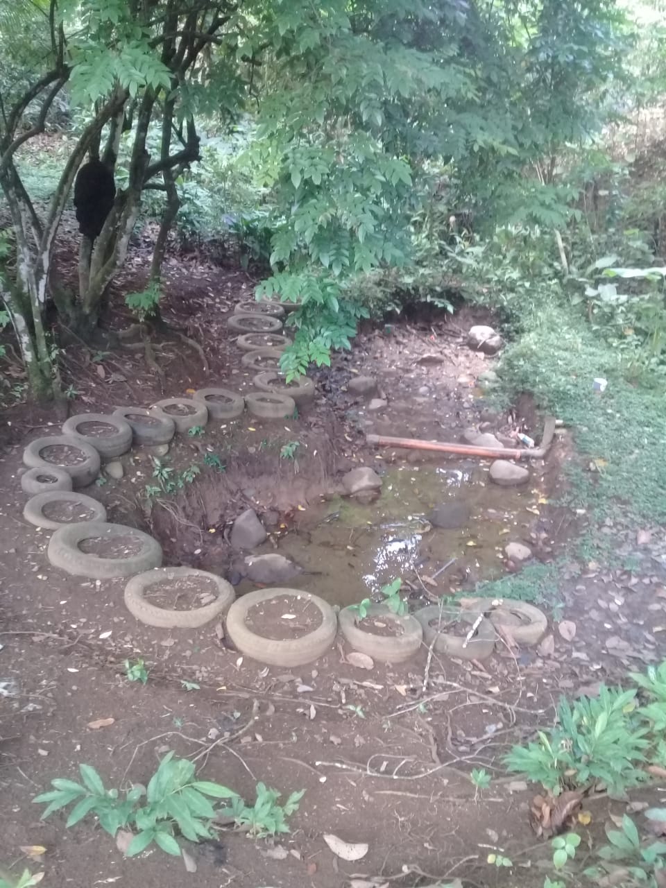 3-11-5 Finca en Chachagua de San Carlos - 19.700 m2