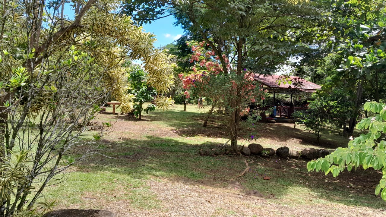 1-56-5 Quinta La Tigra San Carlos - 7000 m2