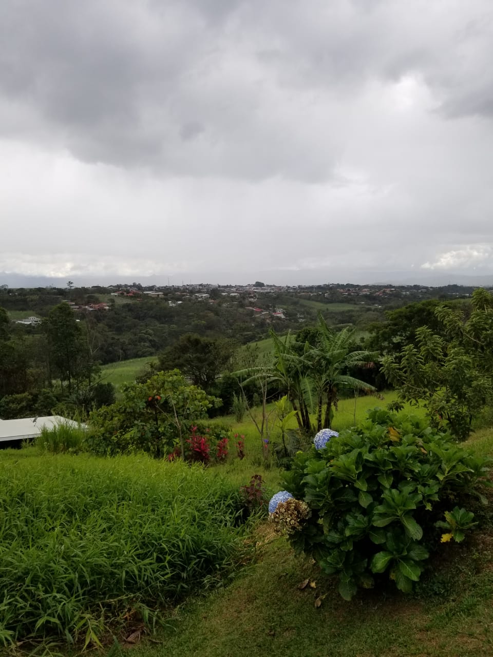 1-64-5 Lote en Los Angeles Grecia - 3002 m2