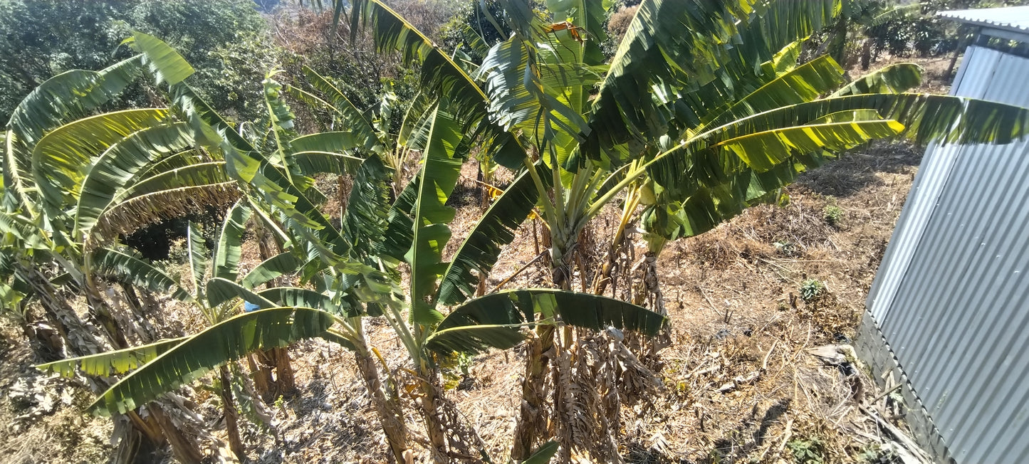 1-11-5 Finca con casa en Alto Castro Sarchí - 10989 metros m2