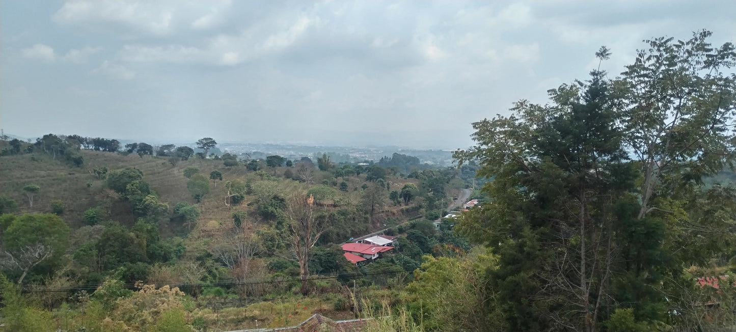 1-25-5 Lote La Luisa en Sarchí - 352 m2