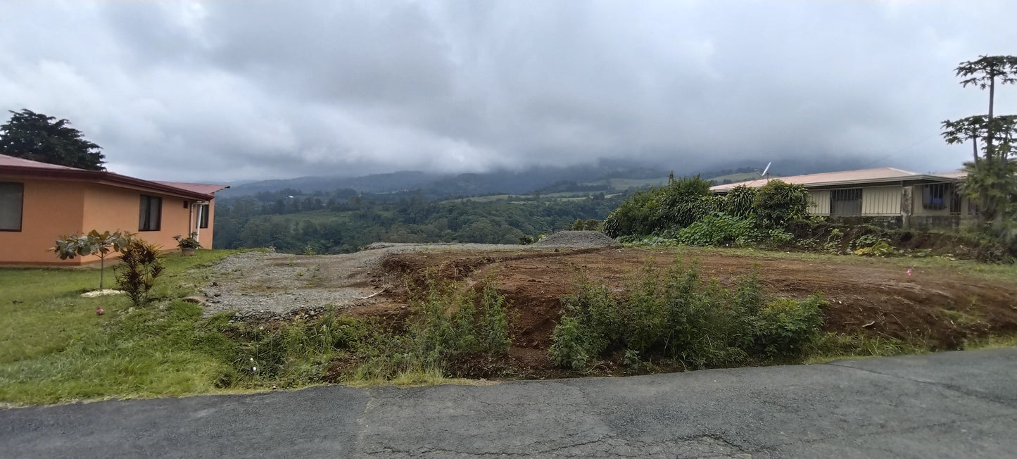 1-48-5 Lote Trojas Sarchí - 1342 m2