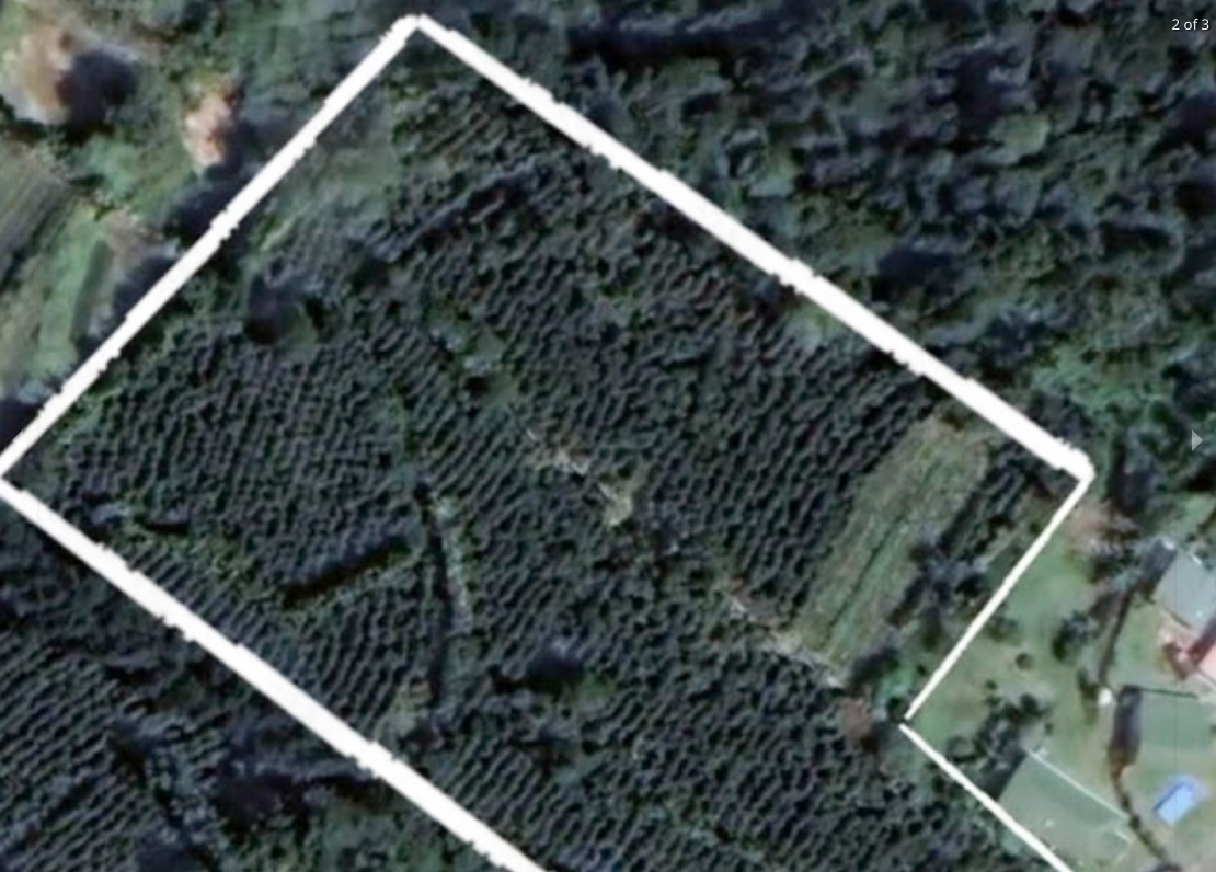 1-21-5 Lote en Trojas Centro - Sarchí - 9724 m2