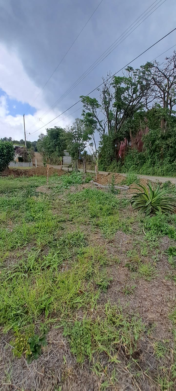 1-1-5 Lote Grecia San Luis - 1288 m2