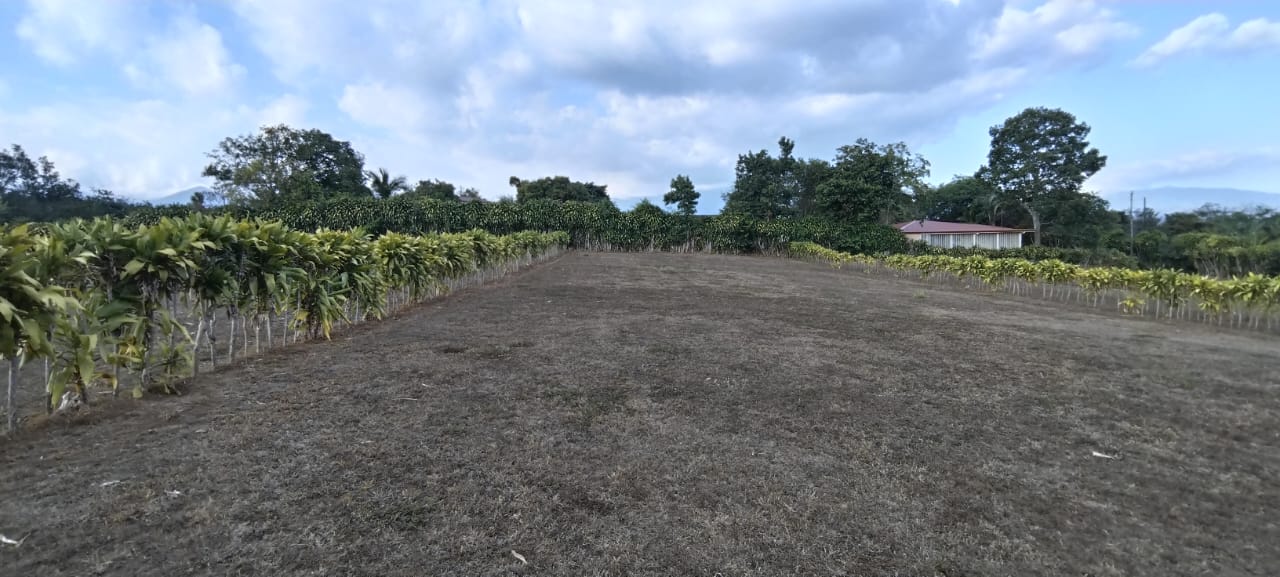 2-3-5 Lote en Urbanización Privada en Sarchí- 1474 m2 - E