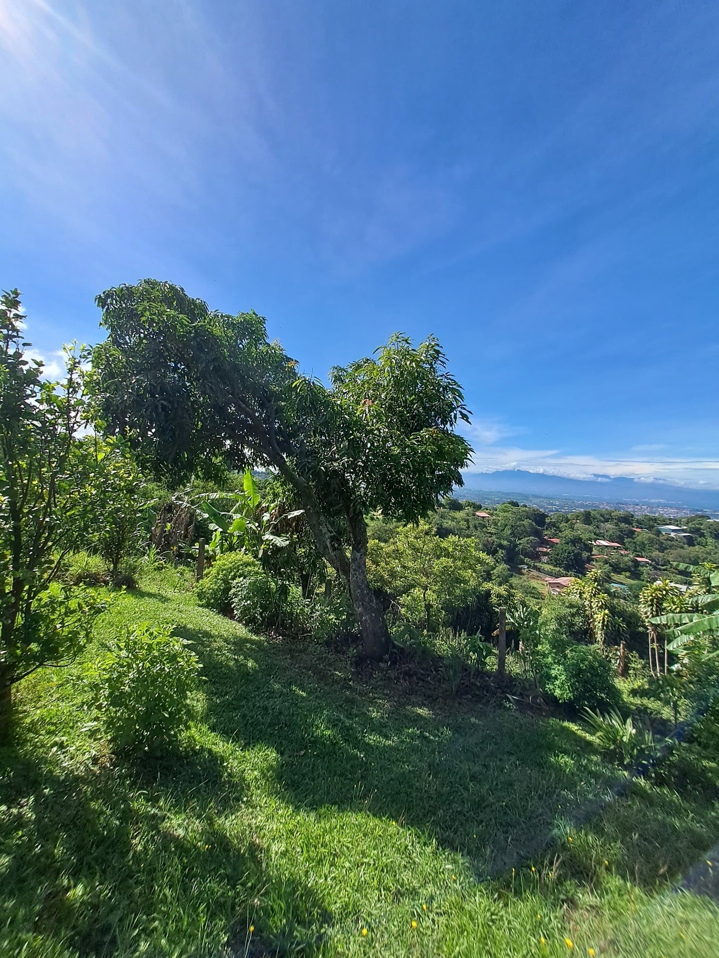3-2-5 Beautiful house with city views in San Pedro de Sarchí - 1400 m2
