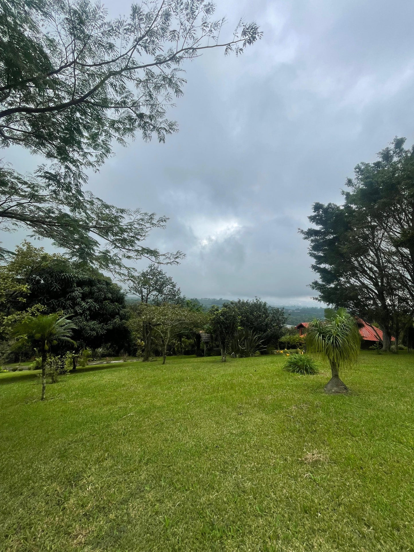 1-60-5 Quinta en Sabanilla Sarchí - En oportunidad 7000 m2