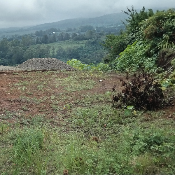 1-49-5 Lote Trojas Sarchí - 4000 m2