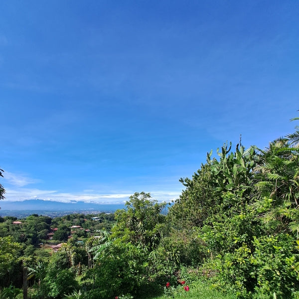 3-4-5 Hermosa Finca en San Pedro de Sarchí con vista a la cuidad- 13976 m2