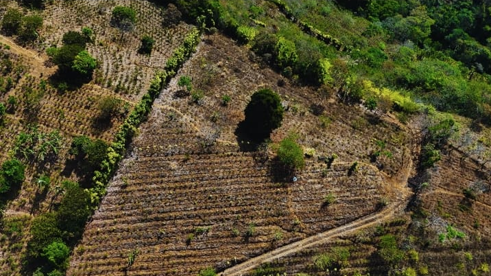 3-5-5 Finca en Los Robles de Naranjo -  5.3 hectáreas