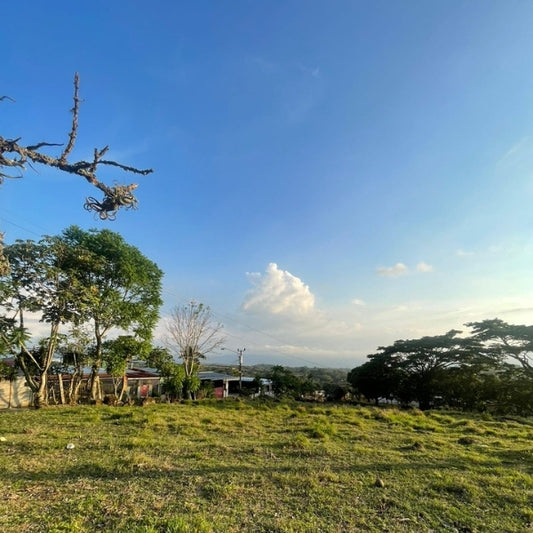 1-16-5 Lote en Alajuela de 11772 m2 en El Cacao