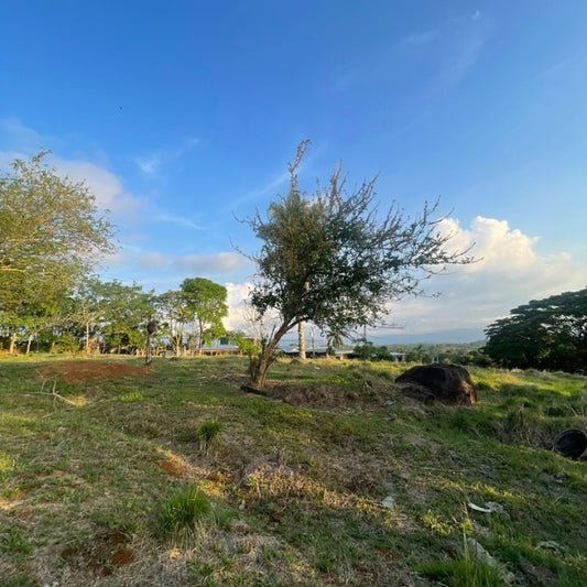 1-17-5 Lote en Alajuela de 17658 m2 en El Cacao de Alajuela