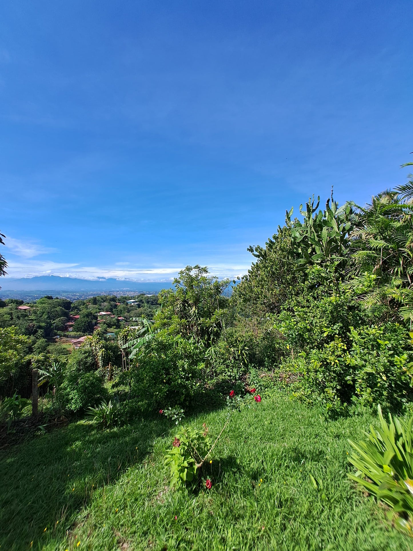 3-2-5 Hermosa Casa con vista a la ciudad en San Pedro de Sarchí - 1400 m2