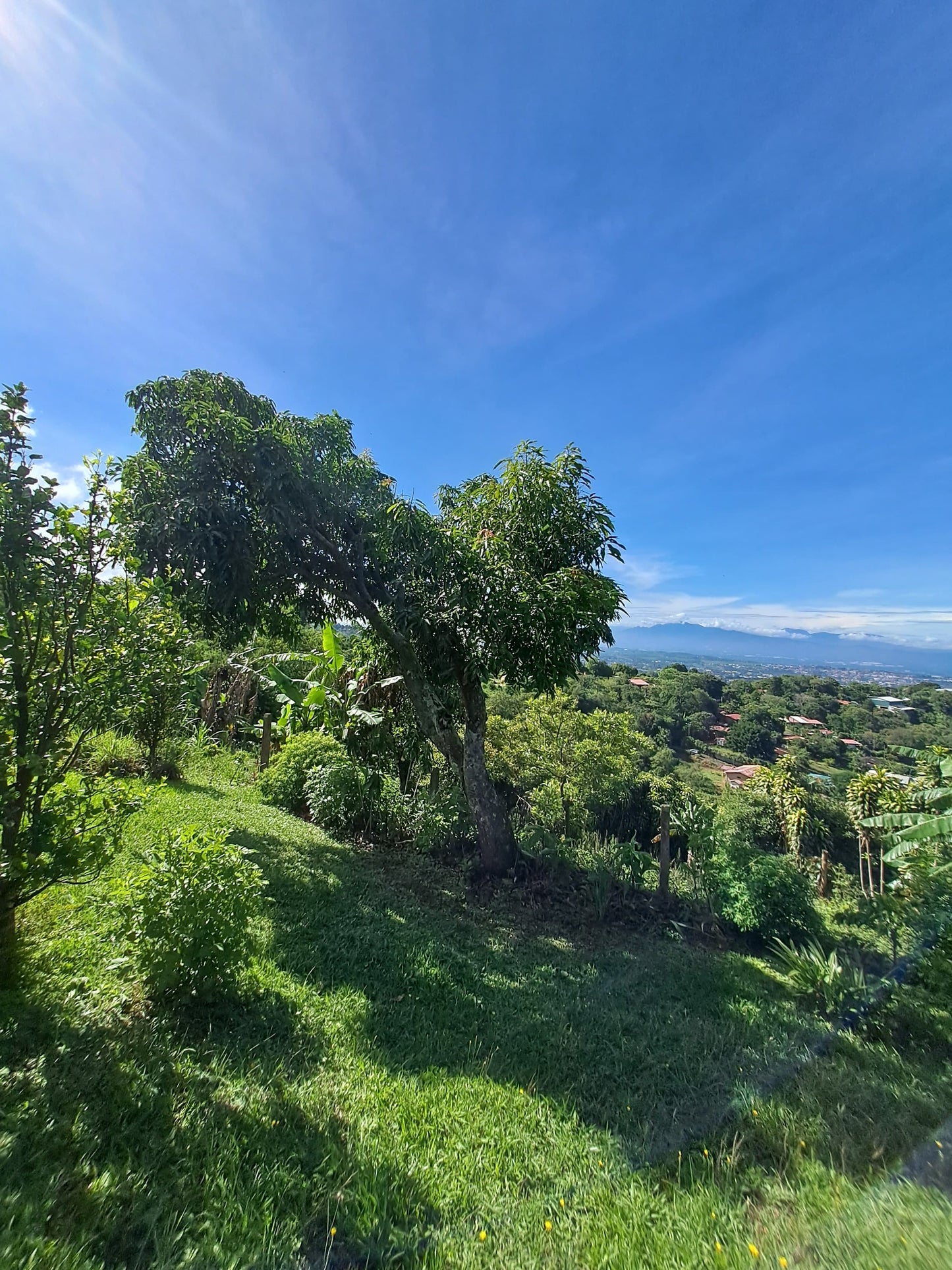 3-3-5 Hermosa Casa con vista a la ciudad en San Pedro de Sarchí con enorme finca- 15376 M2